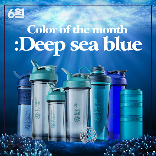 [Color of The Month :Deep sea blue ] 블랜더보틀 딥씨블루 모음전
